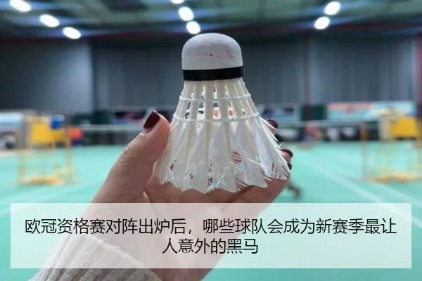 欧冠资格赛对阵出炉后，哪些球队会成为新赛季最让人意外的黑马